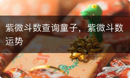 紫微斗数查询童子，紫微斗数运势