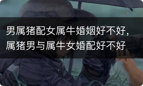 男属猪配女属牛婚姻好不好，属猪男与属牛女婚配好不好