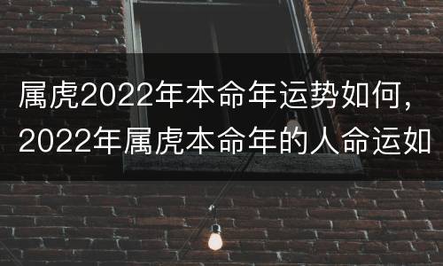 属虎2022年本命年运势如何，2022年属虎本命年的人命运如何