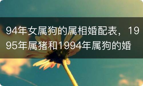 94年女属狗的属相婚配表，1995年属猪和1994年属狗的婚