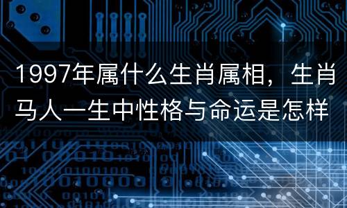 1997年属什么生肖属相，生肖马人一生中性格与命运是怎样的呢