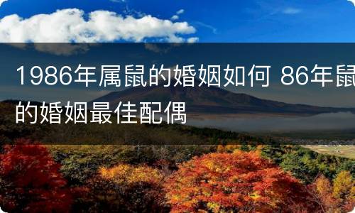 1986年属鼠的婚姻如何 86年鼠的婚姻最佳配偶