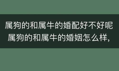 属狗的和属牛的婚配好不好呢 属狗的和属牛的婚姻怎么样,配吗?