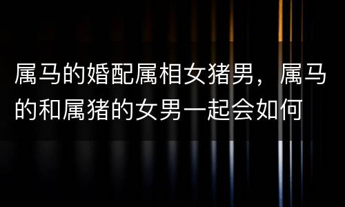属马的婚配属相女猪男，属马的和属猪的女男一起会如何