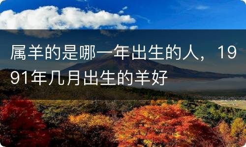 属羊的是哪一年出生的人，1991年几月出生的羊好