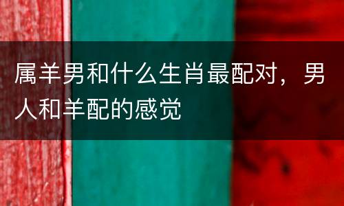 属羊男和什么生肖最配对，男人和羊配的感觉