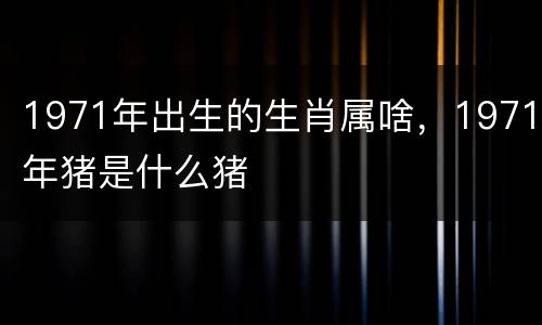 1971年出生的生肖属啥，1971年猪是什么猪