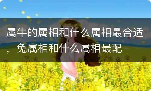 属牛的属相和什么属相最合适，兔属相和什么属相最配