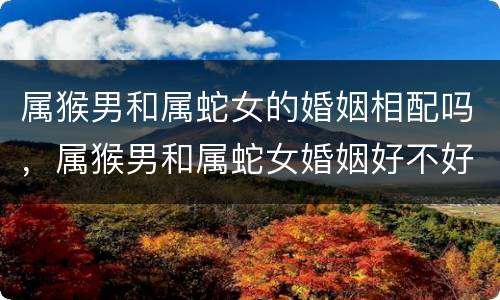 属猴男和属蛇女的婚姻相配吗，属猴男和属蛇女婚姻好不好