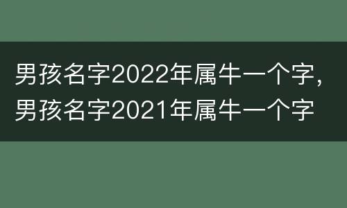 男孩名字2022年属牛一个字，男孩名字2021年属牛一个字
