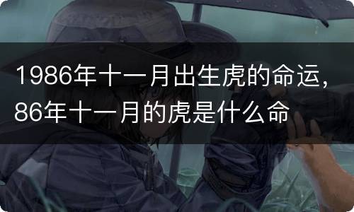 1986年十一月出生虎的命运，86年十一月的虎是什么命