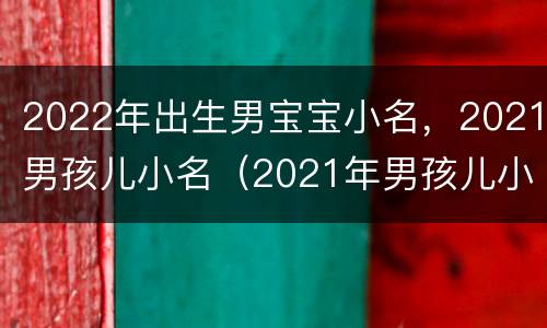 2022年出生男宝宝小名，2021男孩儿小名（2021年男孩儿小名大全洋气）