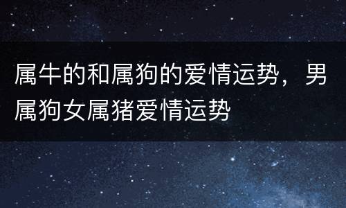 属牛的和属狗的爱情运势，男属狗女属猪爱情运势