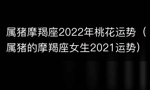 属猪摩羯座2022年桃花运势（属猪的摩羯座女生2021运势）