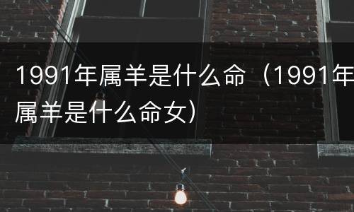 1991年属羊是什么命（1991年属羊是什么命女）