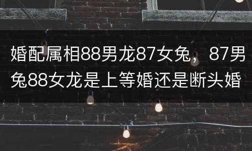 婚配属相88男龙87女兔，87男兔88女龙是上等婚还是断头婚