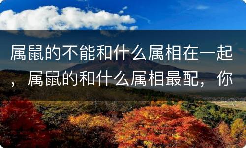 属鼠的不能和什么属相在一起，属鼠的和什么属相最配，你们适合在
