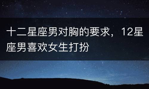 十二星座男对胸的要求，12星座男喜欢女生打扮