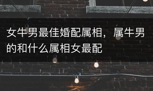 女牛男最佳婚配属相，属牛男的和什么属相女最配