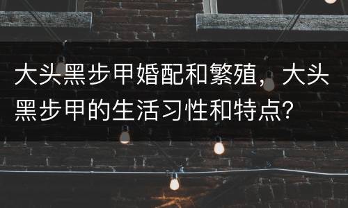 大头黑步甲婚配和繁殖，大头黑步甲的生活习性和特点？