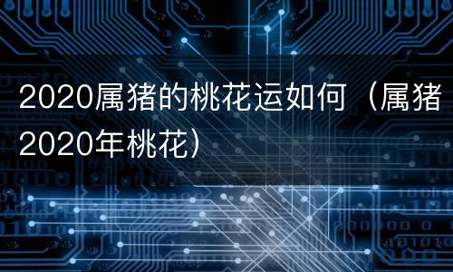 2020属猪的桃花运如何（属猪2020年桃花）