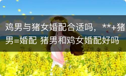 鸡男与猪女婚配合适吗，**+猪男=婚配 猪男和鸡女婚配好吗