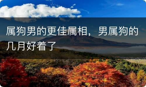属狗男的更佳属相，男属狗的几月好着了