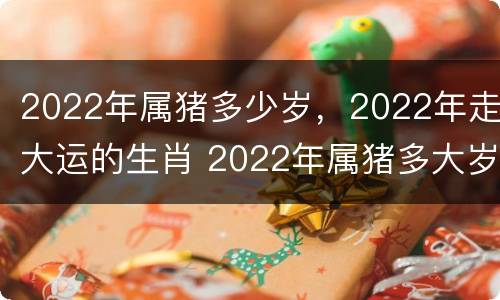 2022年属猪多少岁，2022年走大运的生肖 2022年属猪多大岁数