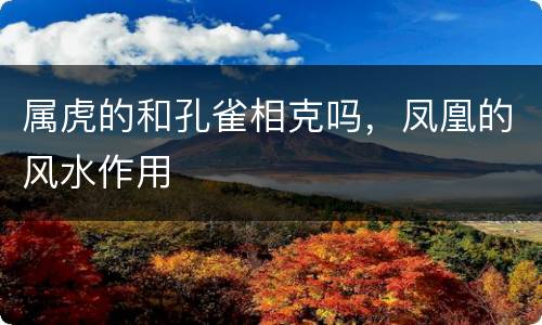 属虎的和孔雀相克吗，凤凰的风水作用