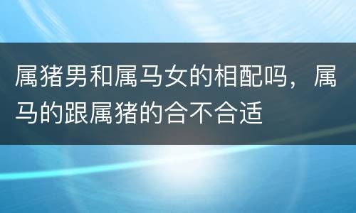 属猪男和属马女的相配吗，属马的跟属猪的合不合适