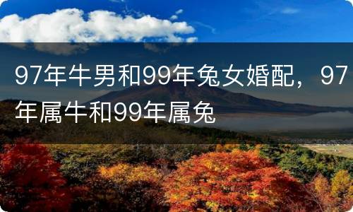 97年牛男和99年兔女婚配，97年属牛和99年属兔