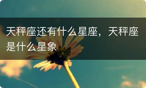 天秤座还有什么星座，天秤座是什么星象