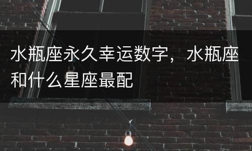 水瓶座永久幸运数字，水瓶座和什么星座最配