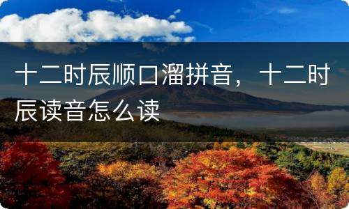 十二时辰顺口溜拼音，十二时辰读音怎么读