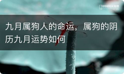 九月属狗人的命运，属狗的阴历九月运势如何