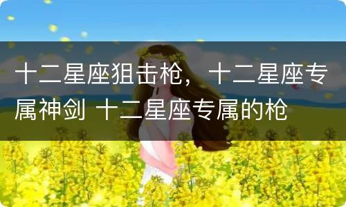 十二星座狙击枪，十二星座专属神剑 十二星座专属的枪