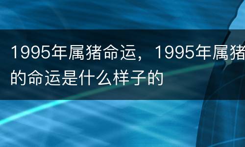 1995年属猪命运，1995年属猪的命运是什么样子的