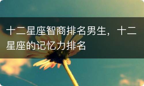 十二星座智商排名男生，十二星座的记忆力排名