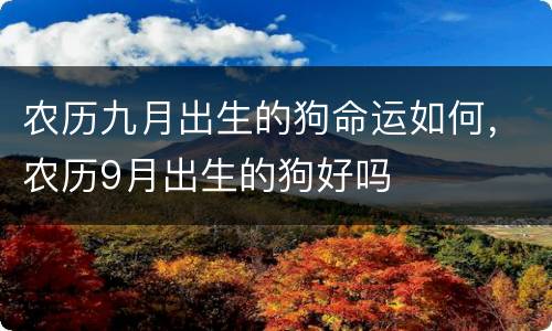农历九月出生的狗命运如何，农历9月出生的狗好吗