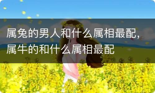 属兔的男人和什么属相最配，属牛的和什么属相最配