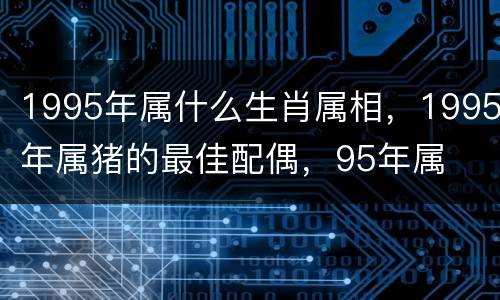 1995年属什么生肖属相，1995年属猪的最佳配偶，95年属