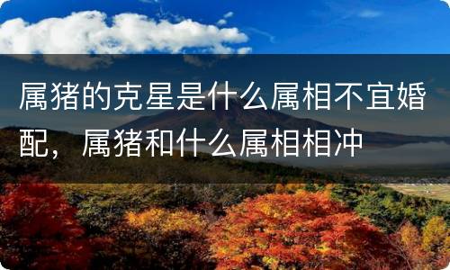 属猪的克星是什么属相不宜婚配，属猪和什么属相相冲