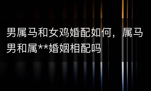 男属马和女鸡婚配如何，属马男和属**婚姻相配吗