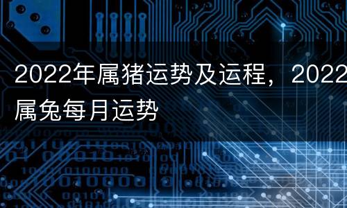 2022年属猪运势及运程，2022属兔每月运势