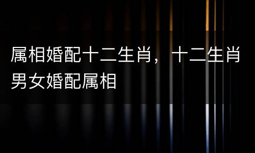 属相婚配十二生肖，十二生肖男女婚配属相