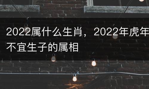 2022属什么生肖，2022年虎年不宜生子的属相