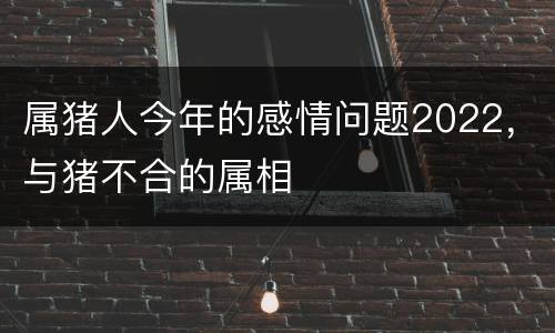属猪人今年的感情问题2022，与猪不合的属相