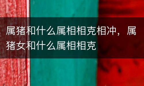 属猪和什么属相相克相冲，属猪女和什么属相相克