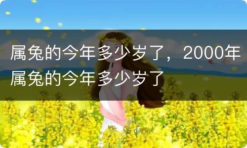 属兔的今年多少岁了，2000年属兔的今年多少岁了