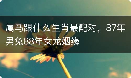 属马跟什么生肖最配对，87年男兔88年女龙姻缘